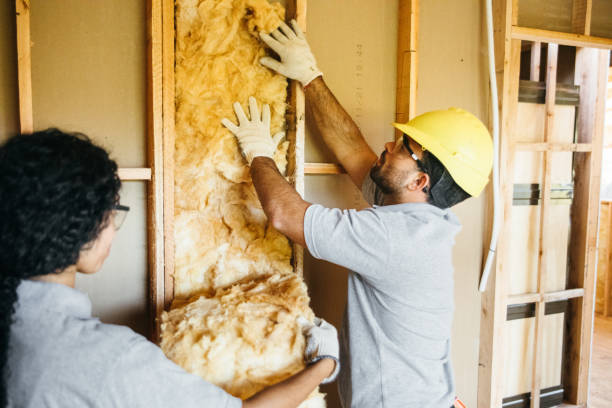 Types of Insulation We Offer in Mills River, NC